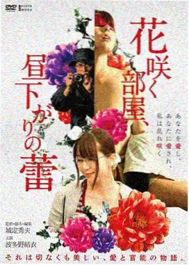 雾港来信 1992年欧美剧情片封面